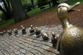 42. Make Way for Ducklings - 3